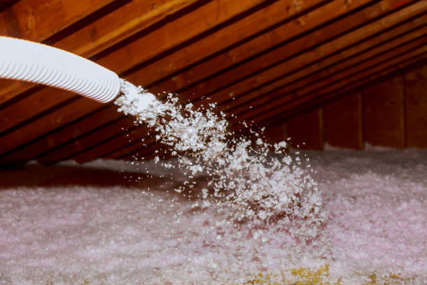 Best Insulation Maintenance and Repair in Davie, FL