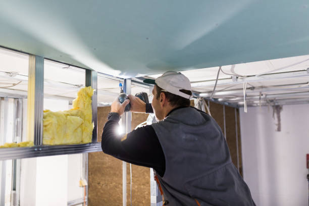 Best Geographic-Specific Insulation Services in Davie, FL