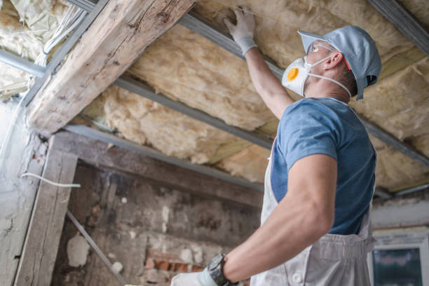 Best Eco-Friendly Insulation in Davie, FL