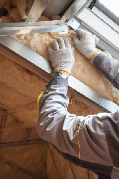 Best Insulation for Specific Applications in Davie, FL