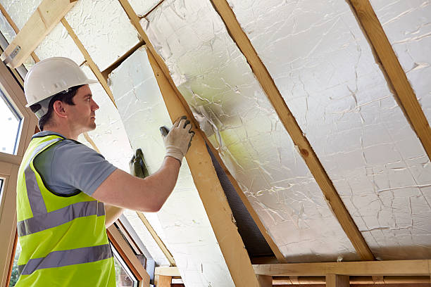 Types of Insulation We Offer in Davie, FL