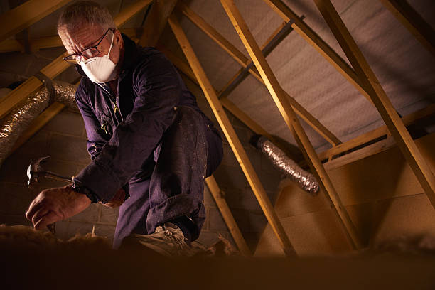 Best DIY Insulation Kits and Guidance in Davie, FL